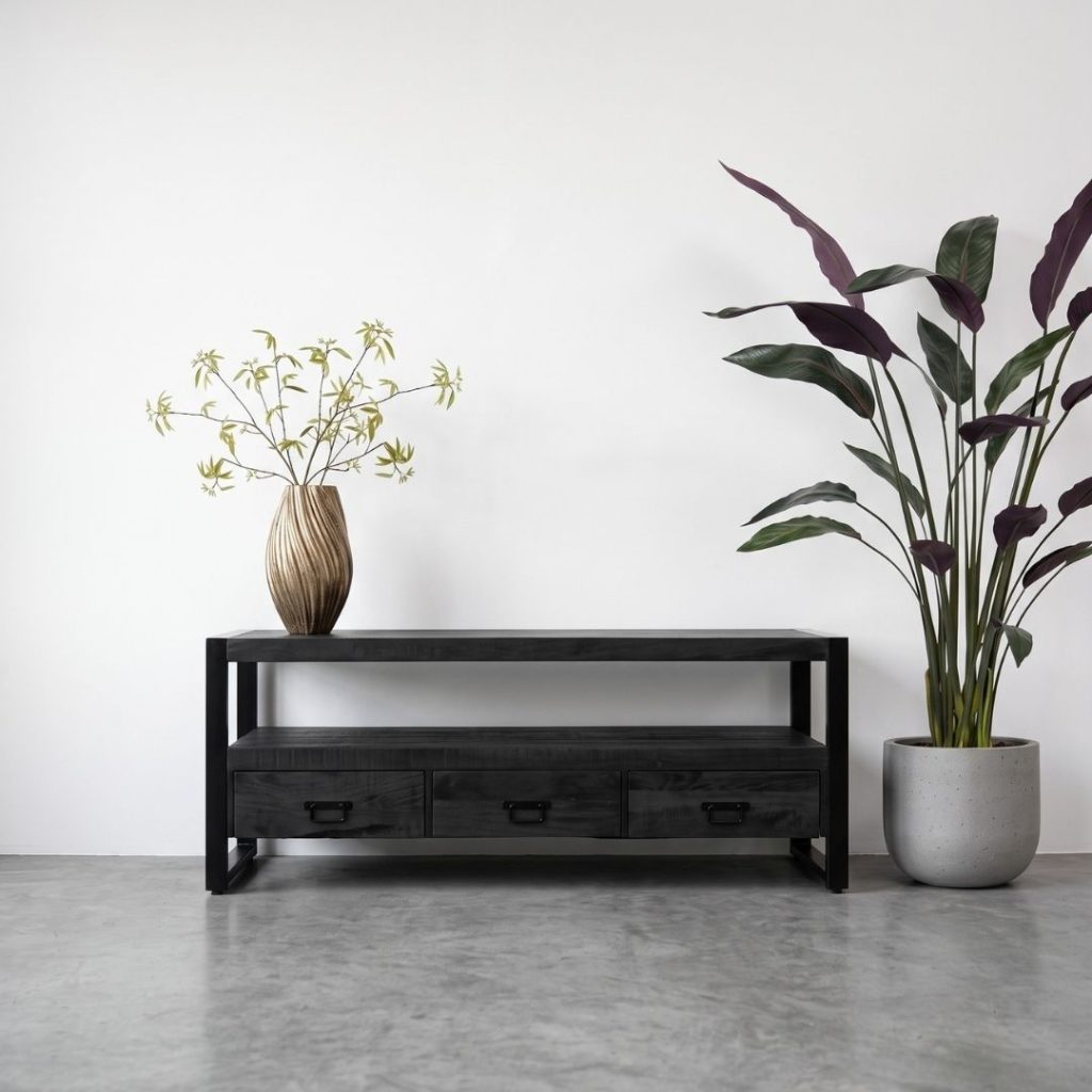 TV-meubel Britt 150cm zwart mangohout